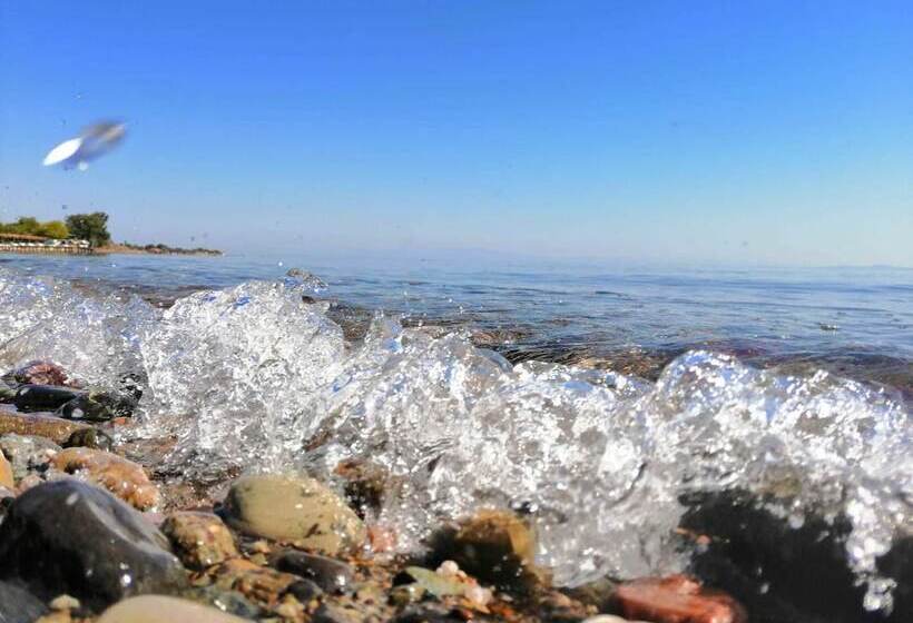 Assos Yali Butik Otel Restaurant