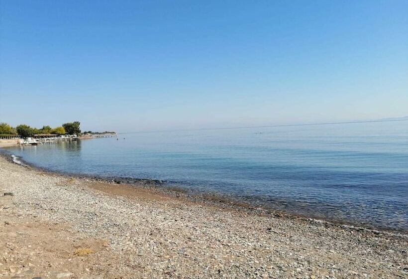 Assos Yali Butik Otel Restaurant