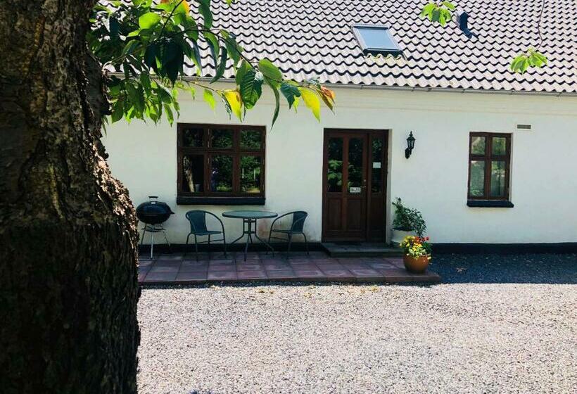 مبيت وإفطار Feriestedet Rønne