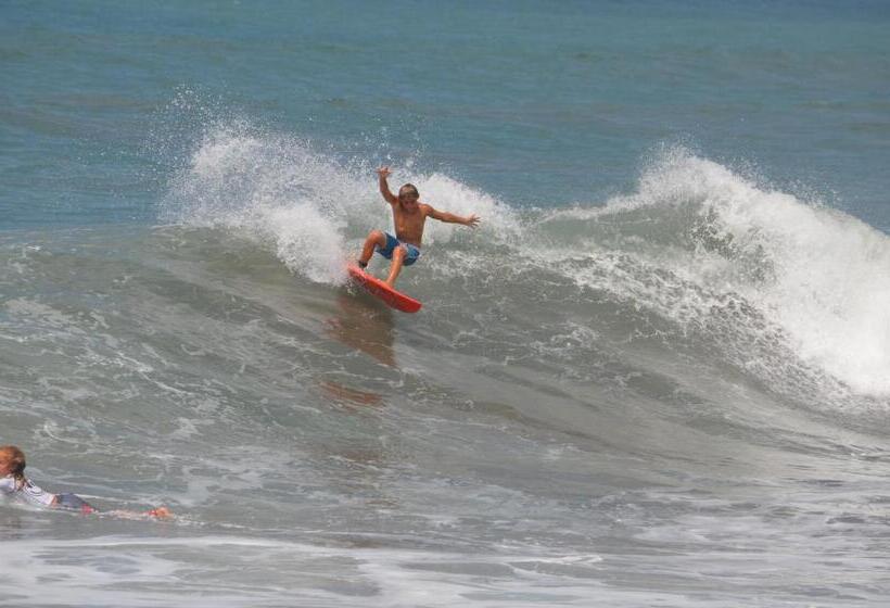 酒店 Dabumito Guest House