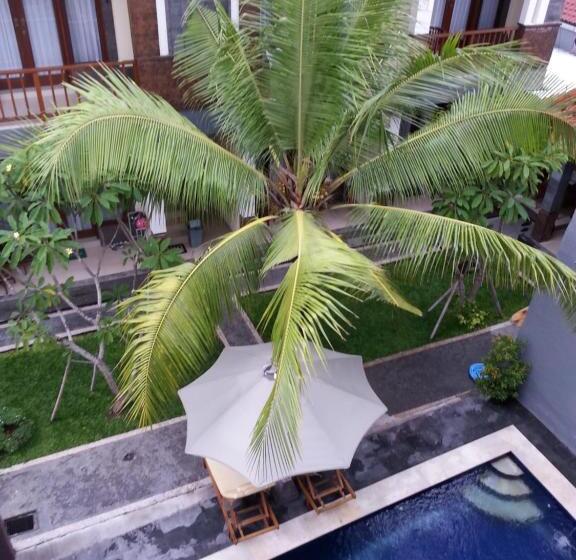 酒店 Dabumito Guest House