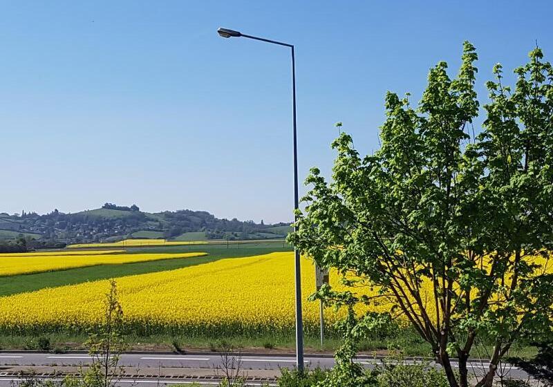 호텔 Holiday Lyon Est