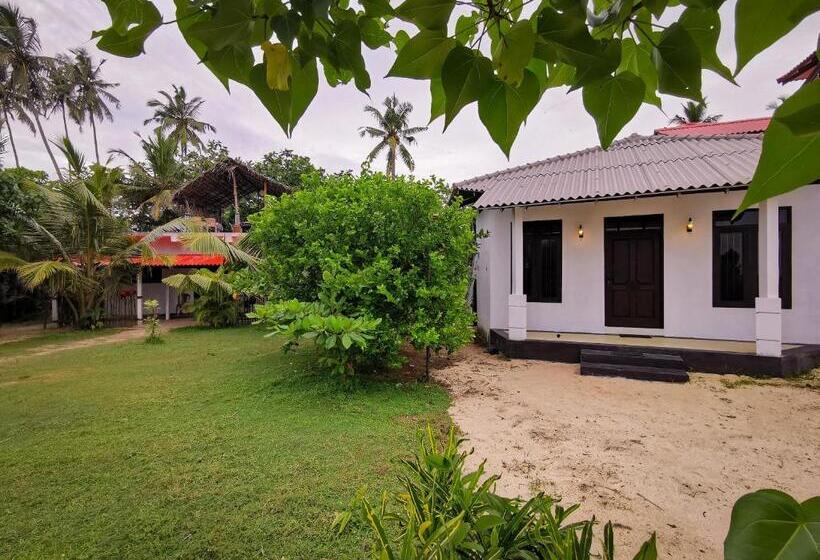 호텔 Laguna Surfing Stay