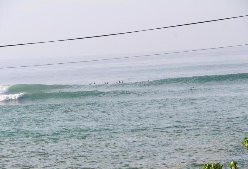 호텔 Laguna Surfing Stay