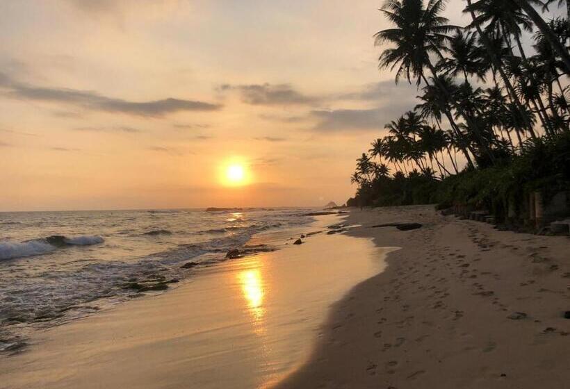 호텔 Laguna Surfing Stay