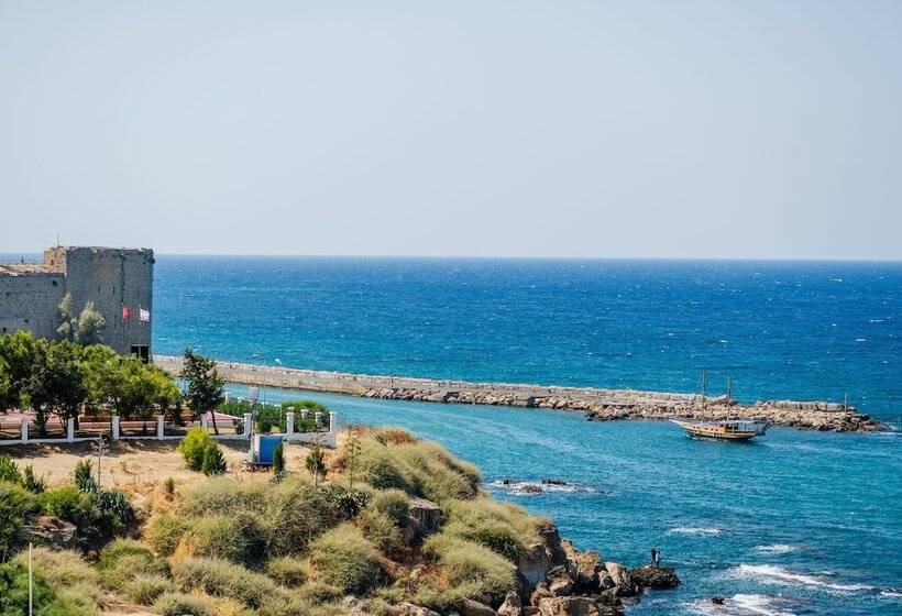 Отель Olivia Palm