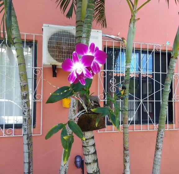 פנסיון Pousada Suites Das Galinhas