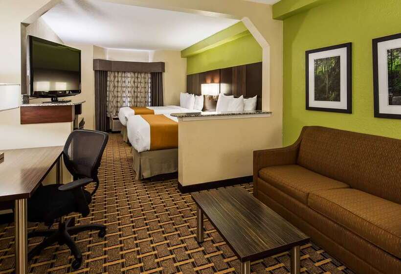 هتل Best Western Knoxville Suites  Downtown