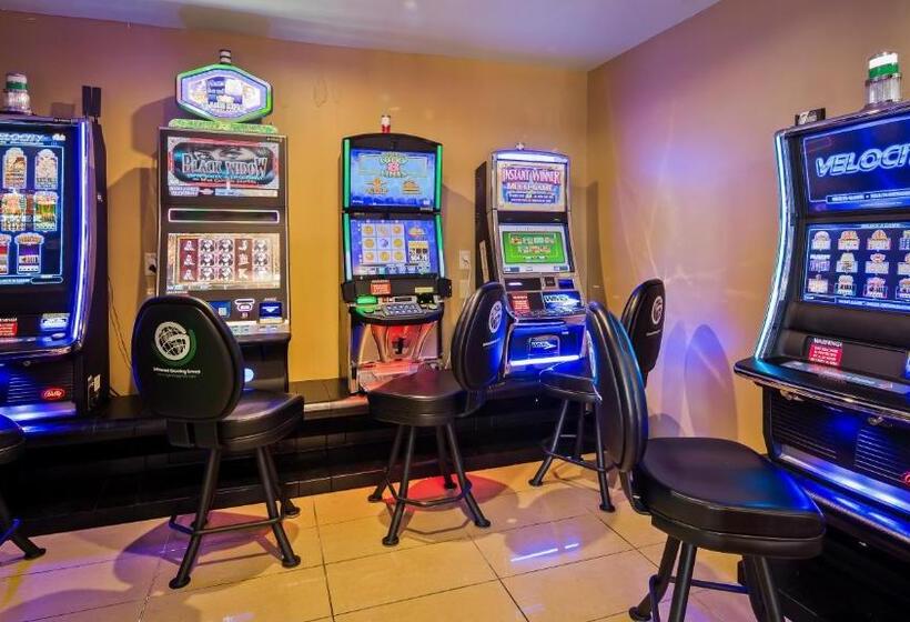 فندق Best Western Saluki Inn