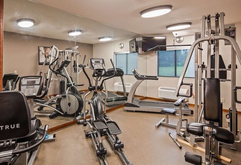 فندق Best Western University Inn