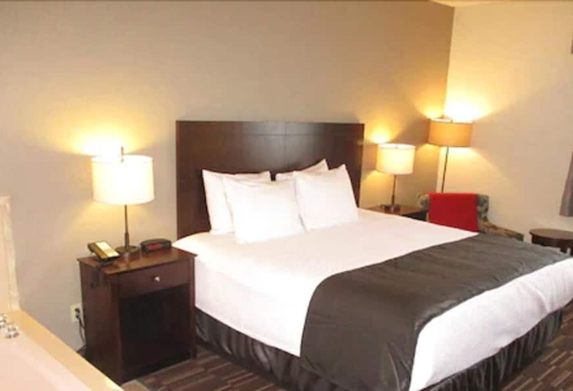 فندق Best Western University Inn