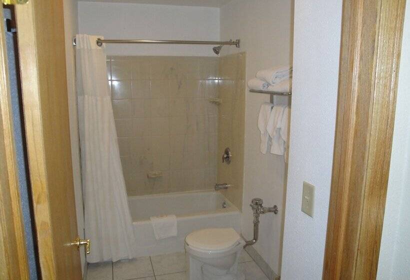 هتل Chicago Lake Shore