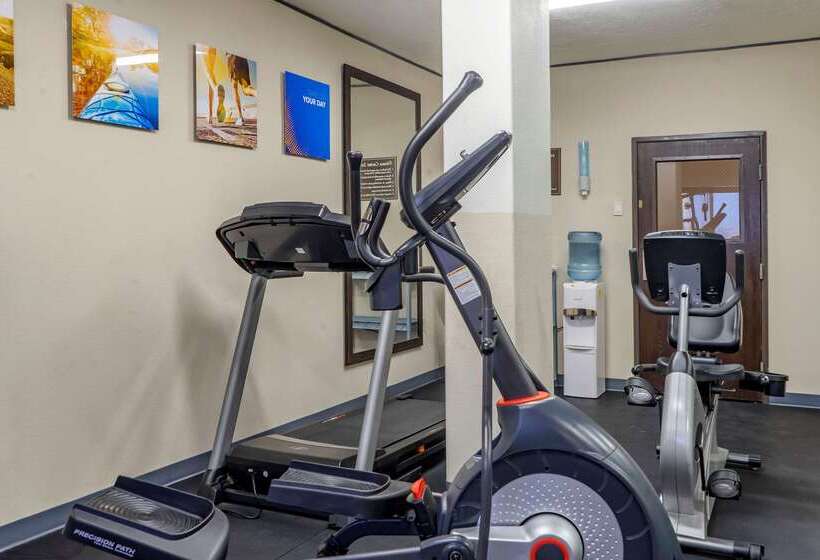 酒店 Comfort Inn Albuquerque Airport