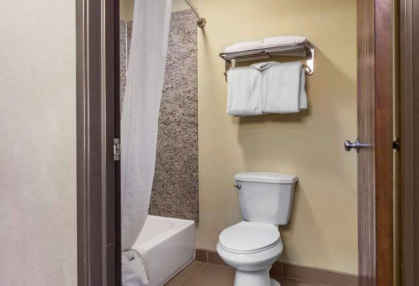 酒店 Comfort Inn Albuquerque Airport