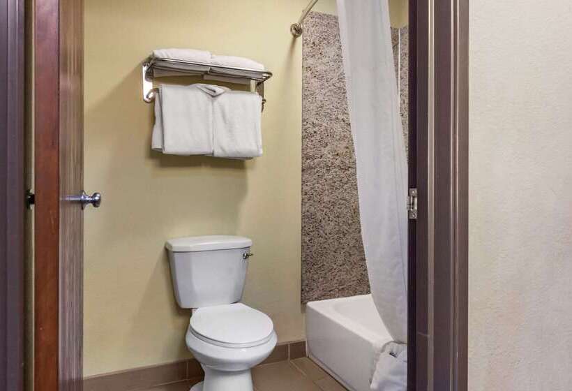 酒店 Comfort Inn Albuquerque Airport