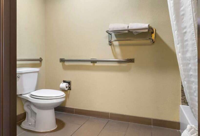 酒店 Comfort Inn Albuquerque Airport