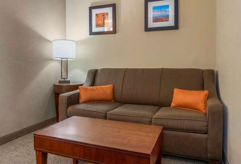 酒店 Comfort Inn Albuquerque Airport