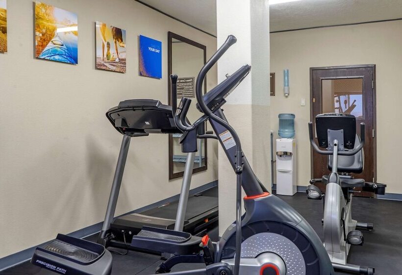 酒店 Comfort Inn Albuquerque Airport