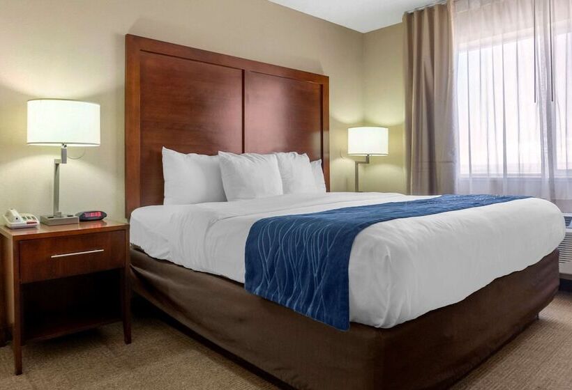 酒店 Comfort Inn Albuquerque Airport