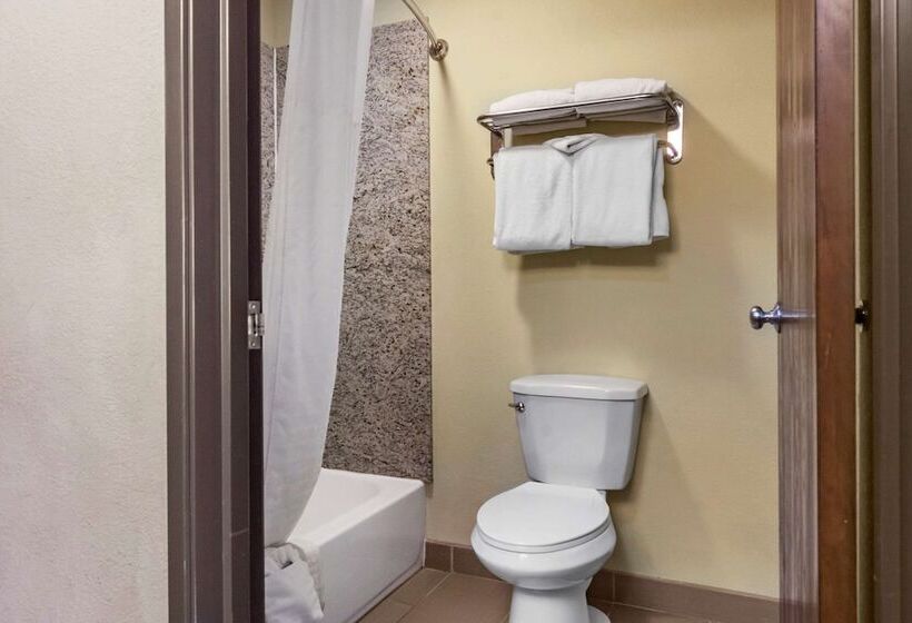 酒店 Comfort Inn Albuquerque Airport