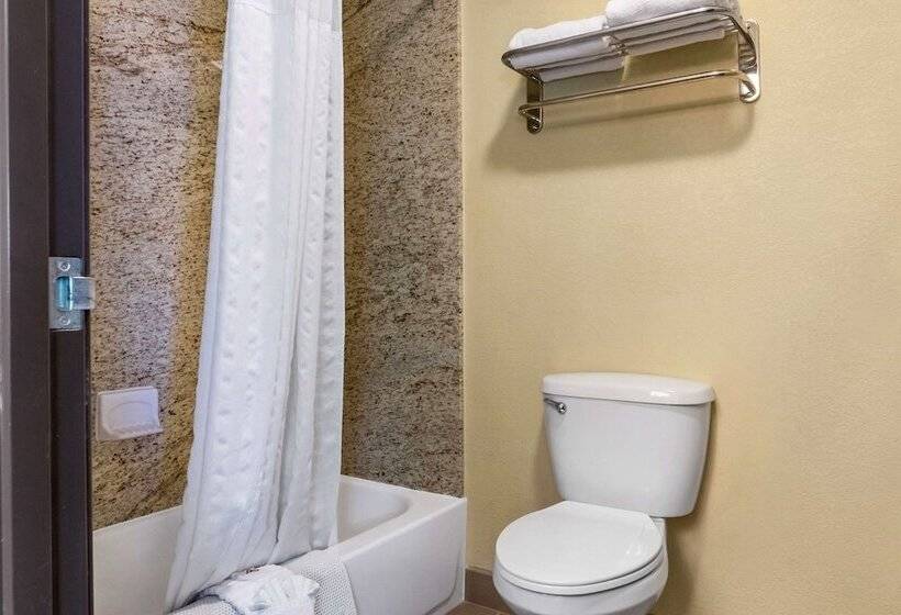 酒店 Comfort Inn Albuquerque Airport