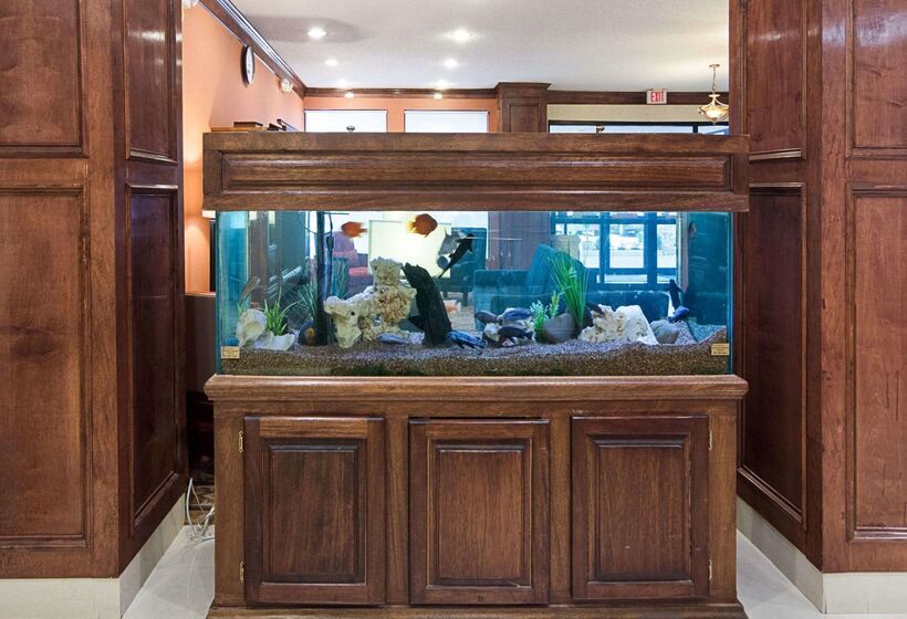 호텔 Comfort Inn & Suites Houston Key Katy