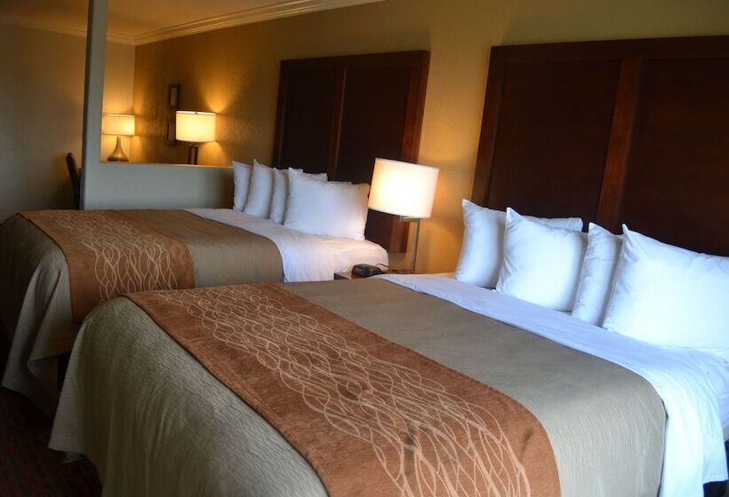 호텔 Comfort Inn & Suites Houston Key Katy