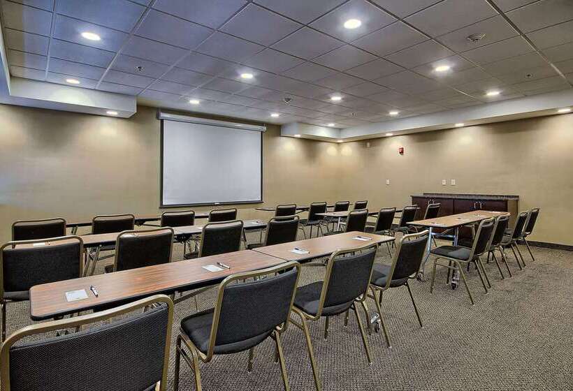 فندق Comfort Inn & Suites