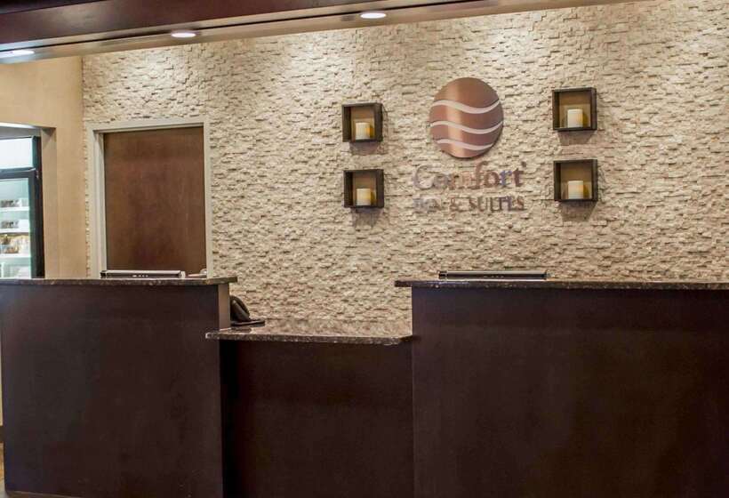 فندق Comfort Inn & Suites