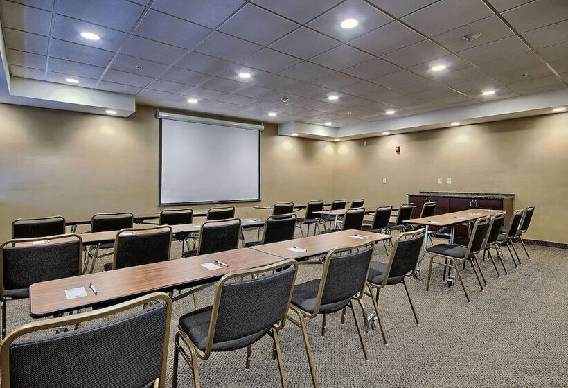 فندق Comfort Inn & Suites