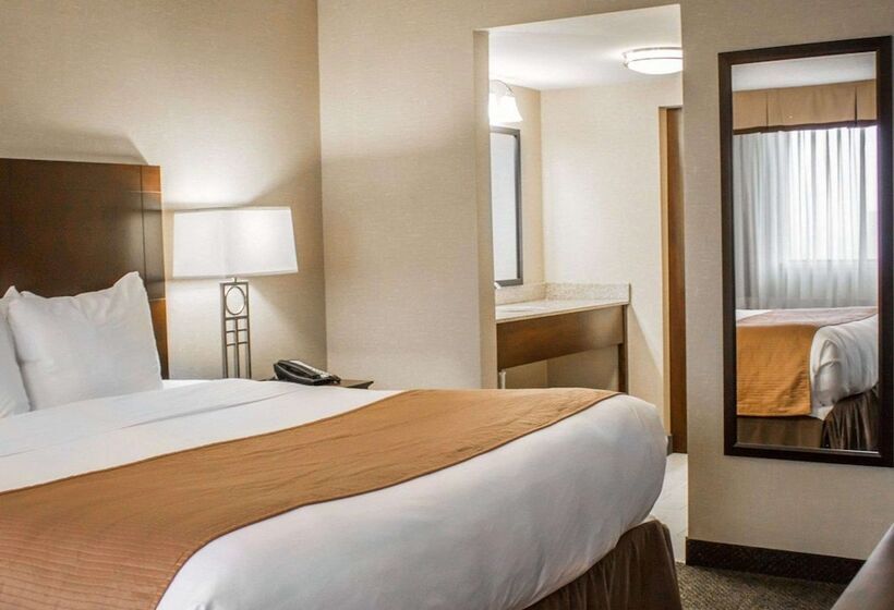 فندق Comfort Inn & Suites