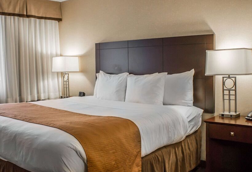 فندق Comfort Inn & Suites