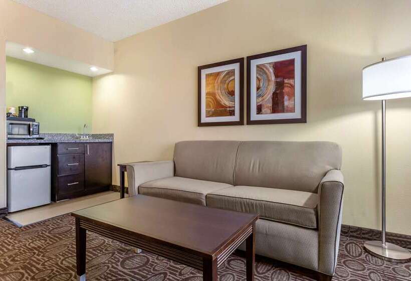 فندق Comfort Inn Chandler  Phoenix South I10