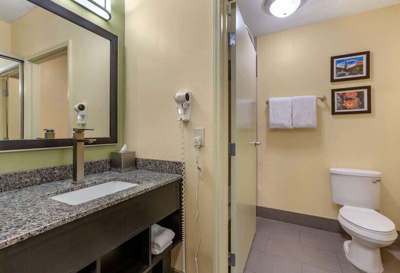 فندق Comfort Inn Chandler  Phoenix South I10