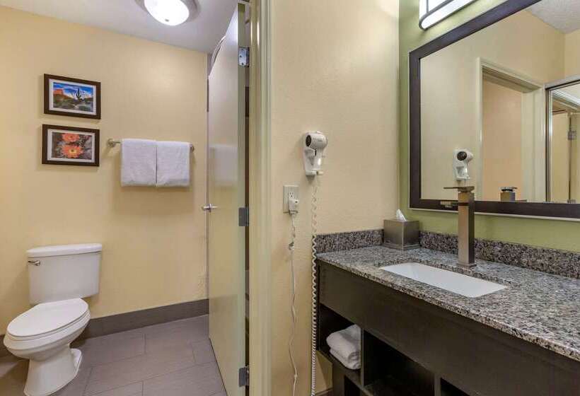 فندق Comfort Inn Chandler  Phoenix South I10