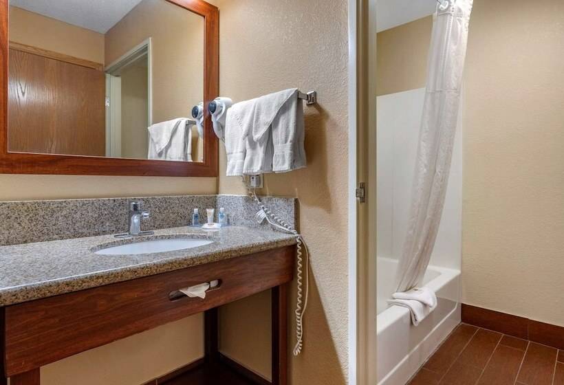酒店 Comfort Inn Joliet West I 80