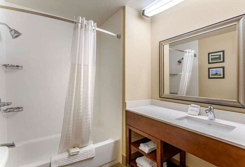فندق Comfort Inn Paducah I24