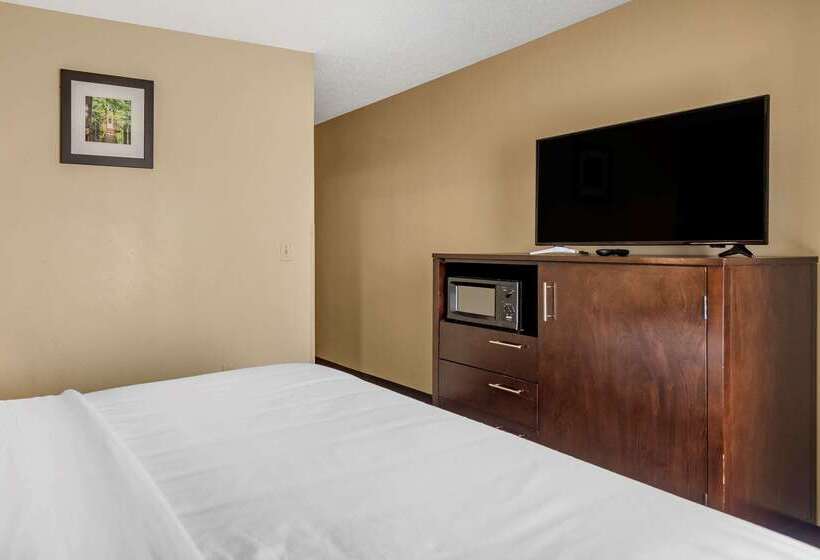 فندق Comfort Inn Paducah I24