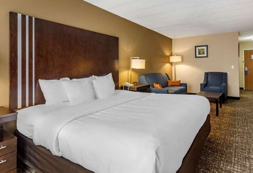 فندق Comfort Inn Paducah I24