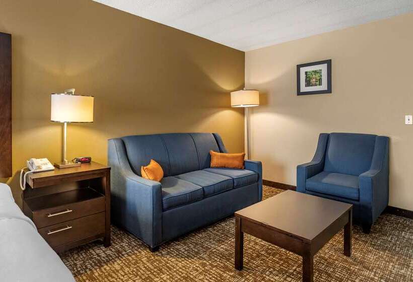 فندق Comfort Inn Paducah I24