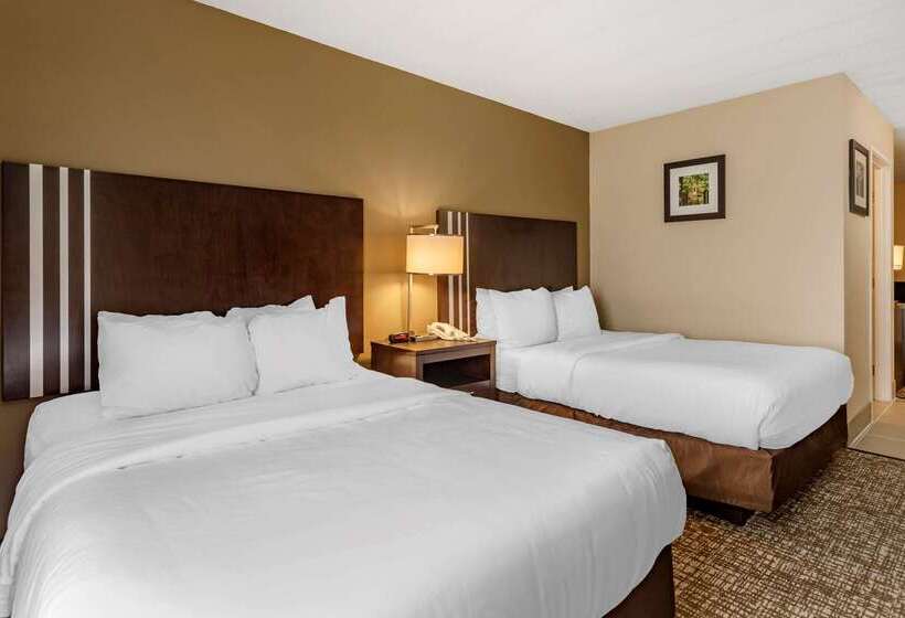 فندق Comfort Inn Paducah I24