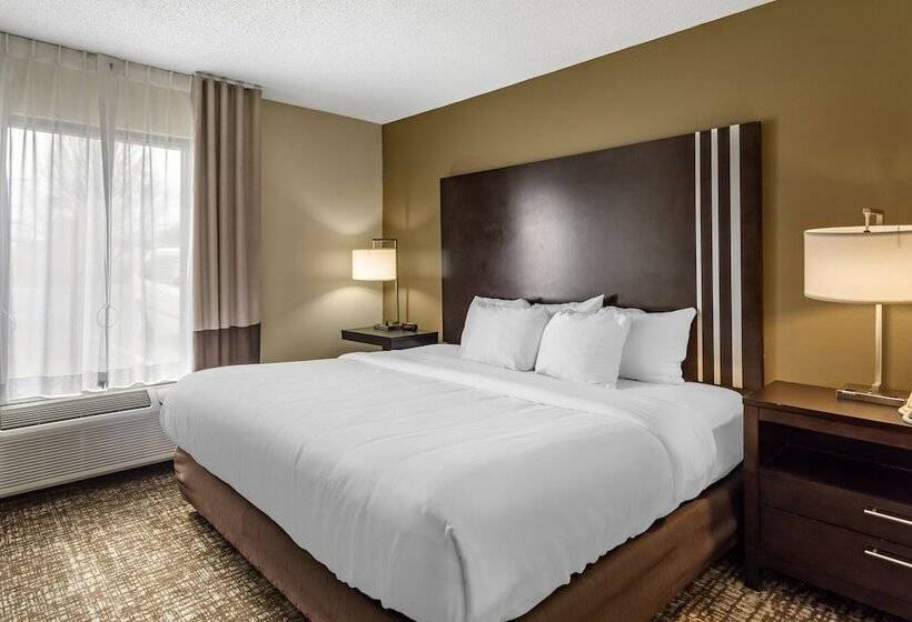 فندق Comfort Inn Paducah I24