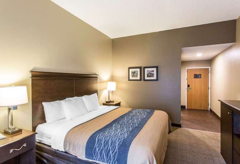 酒店 Comfort Inn & Suites Cookeville