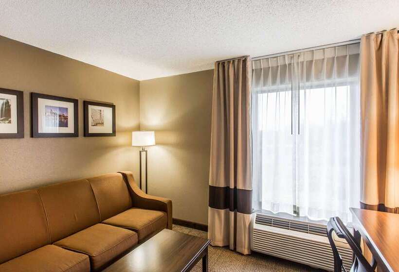 酒店 Comfort Inn & Suites Cookeville