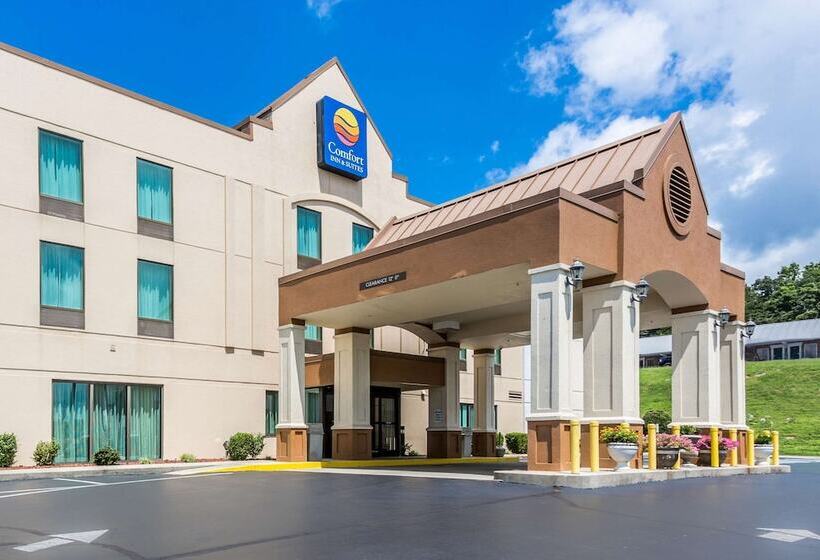 酒店 Comfort Inn & Suites Cookeville