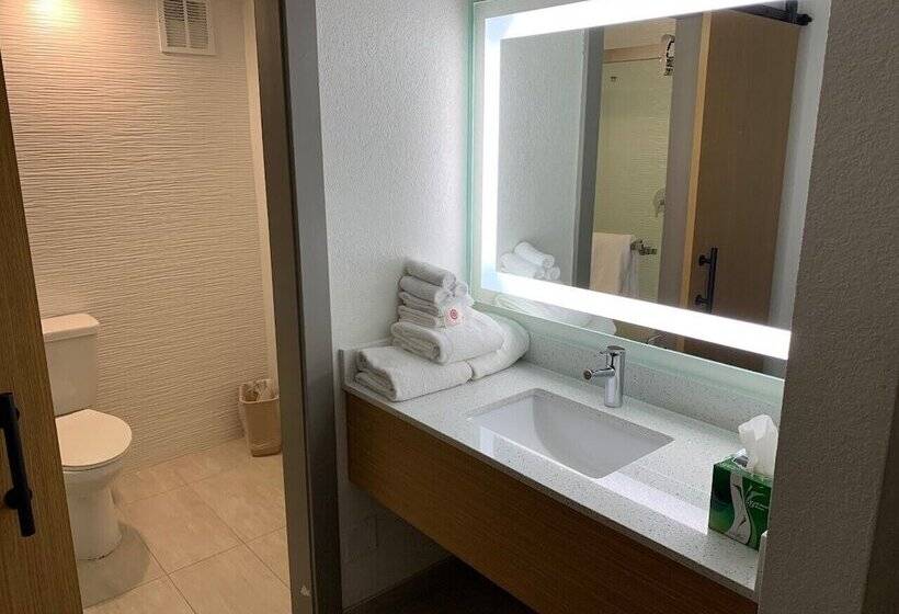 هتل Comfort Inn & Suites Nashville Downtown   Stadium