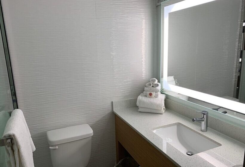 هتل Comfort Inn & Suites Nashville Downtown   Stadium