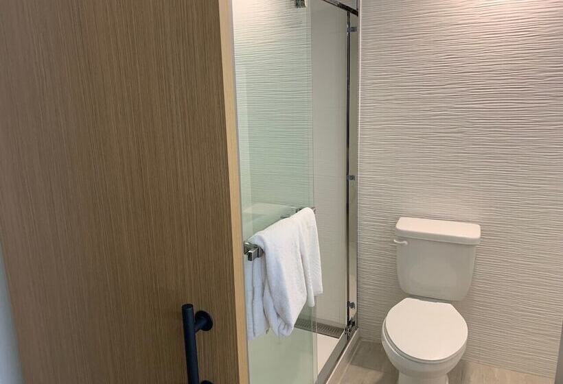 هتل Comfort Inn & Suites Nashville Downtown   Stadium