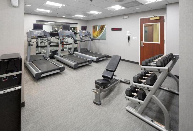 ホテル Courtyard Shelton