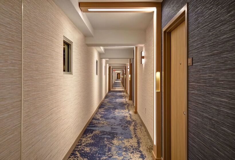 فندق Doubletree By Hilton Virginia Beach Oceanfront South